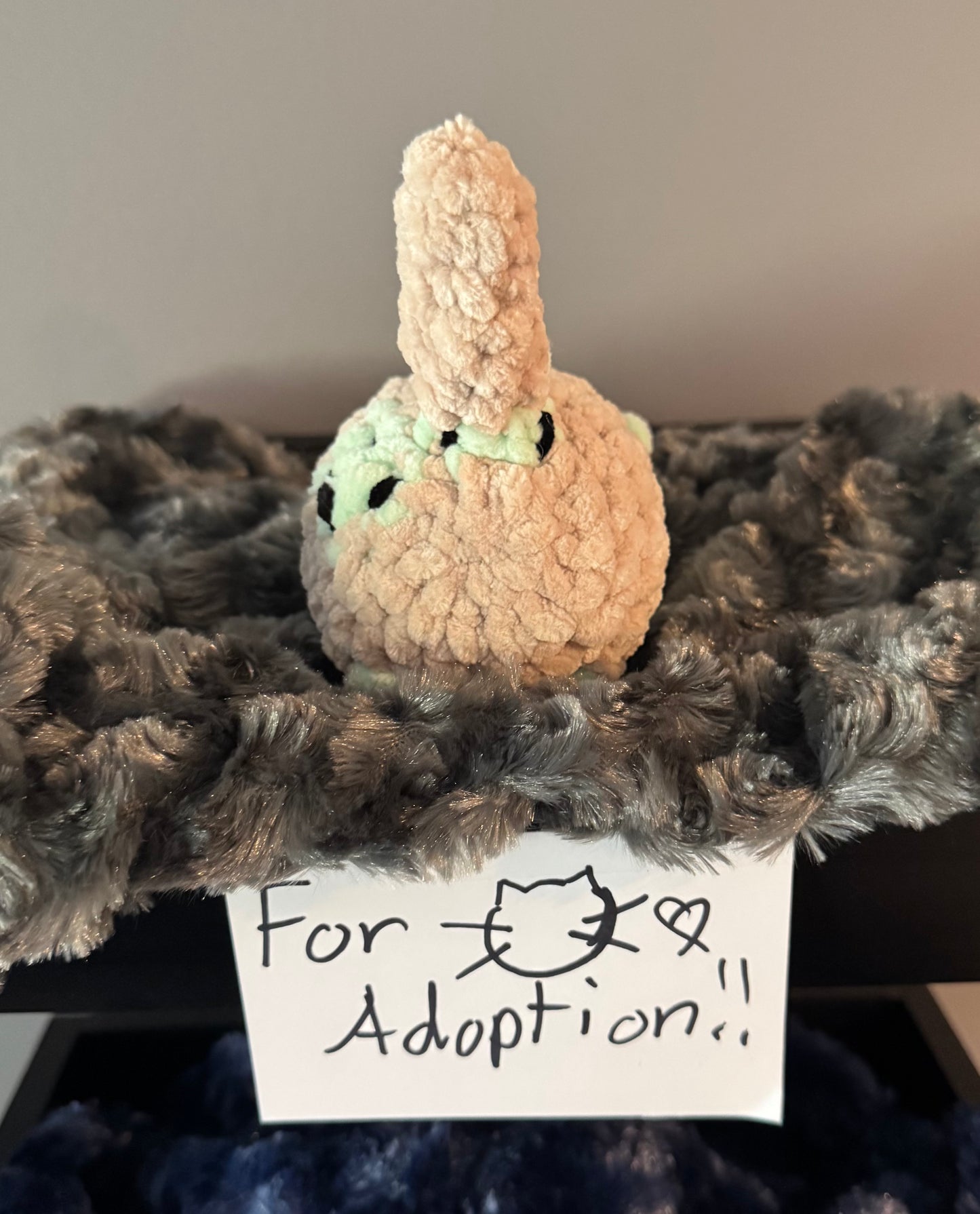 Donut Mini Crochet Cat🍩