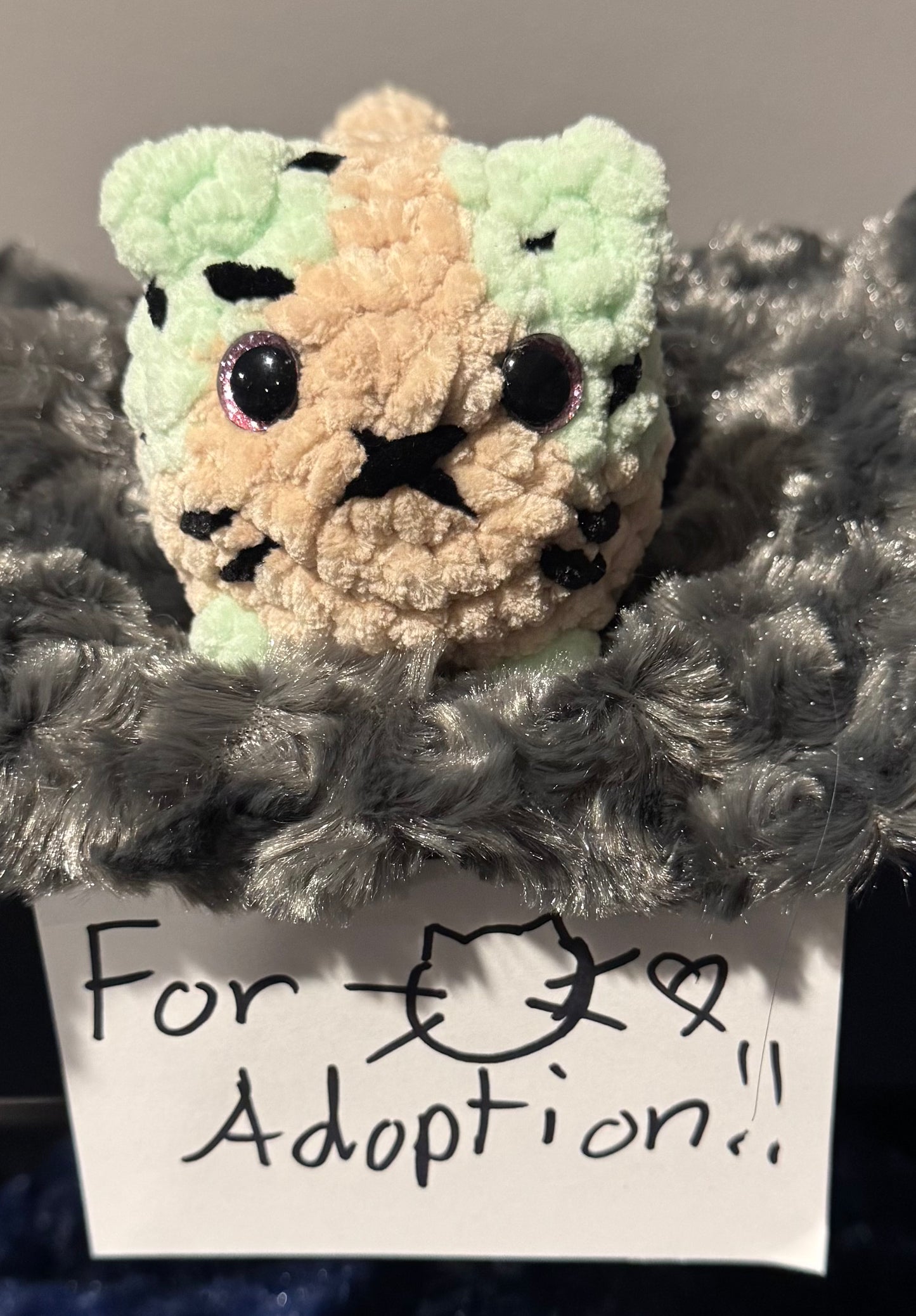 Donut Mini Crochet Cat🍩