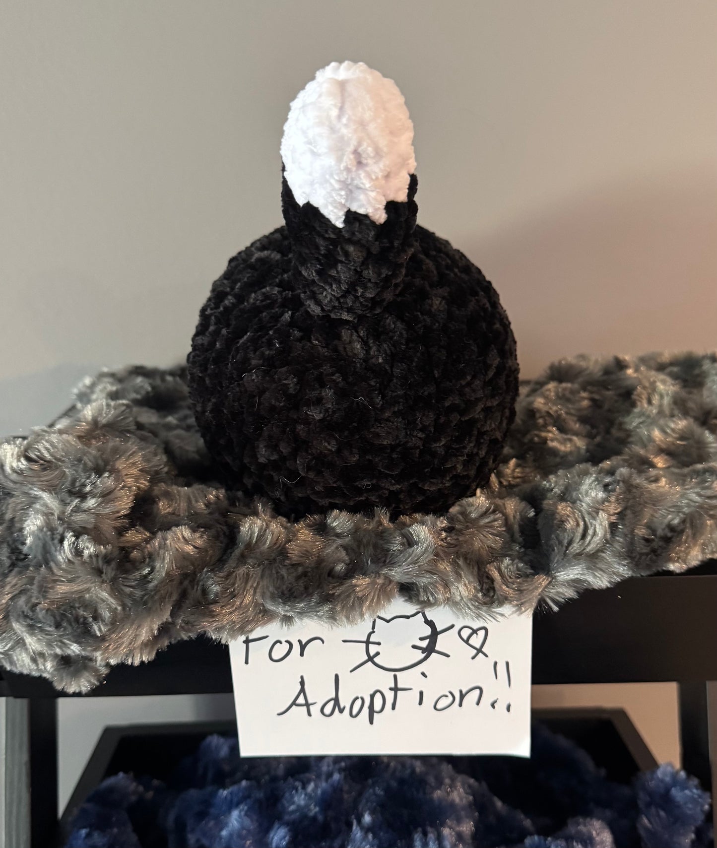 Black & White Crochet Cat🖤🤍